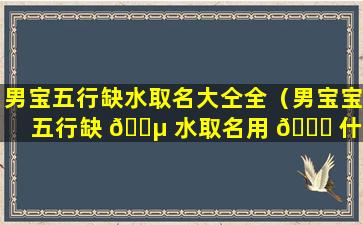 男宝五行缺水取名大仝全（男宝宝五行缺 🐵 水取名用 🐋 什么字好）